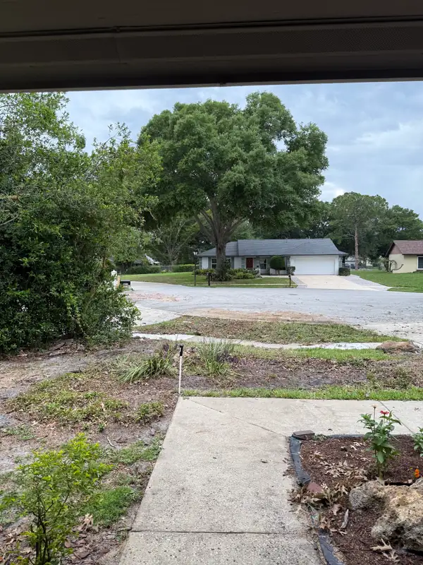 A front yard cleared and raked after a tree removal