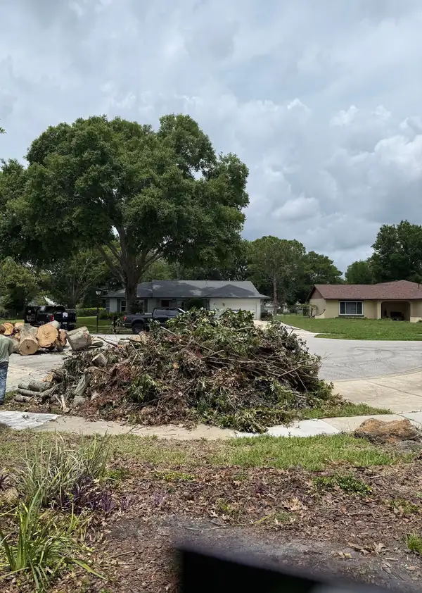 A pile of cut limbs and storm debris gathered in a front yard for haul-away