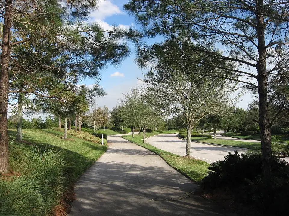 A landscaped bike path lined with young trees and pines in Lake Nona