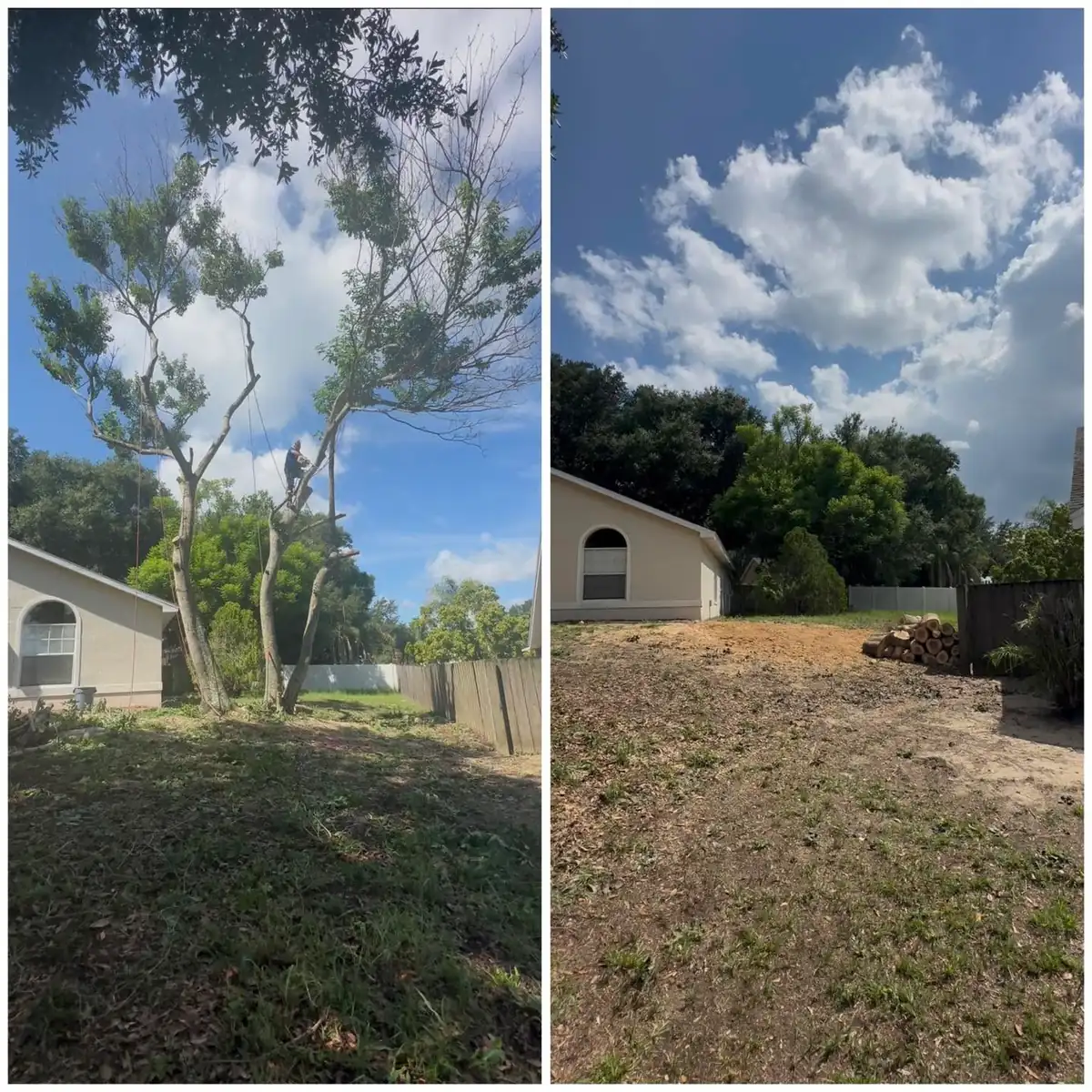 Before and after brush clearing beside a home: overgrown trees, then an open, cleared lot