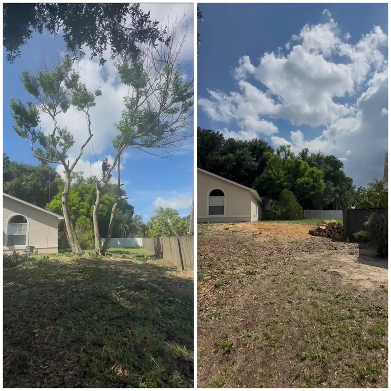 Before and after brush clearing beside a home: overgrown trees, then an open, cleared lot