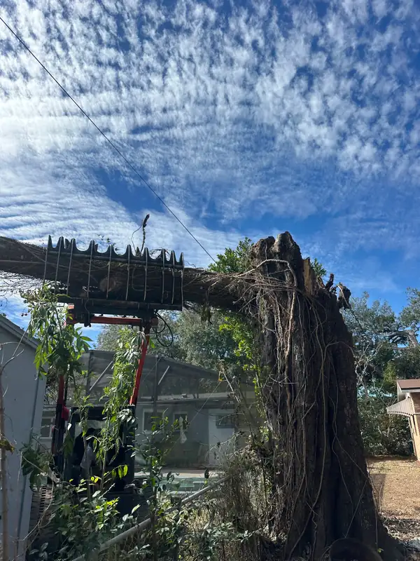 A grapple truck lifting an uprooted tree out of a residential yard after a storm