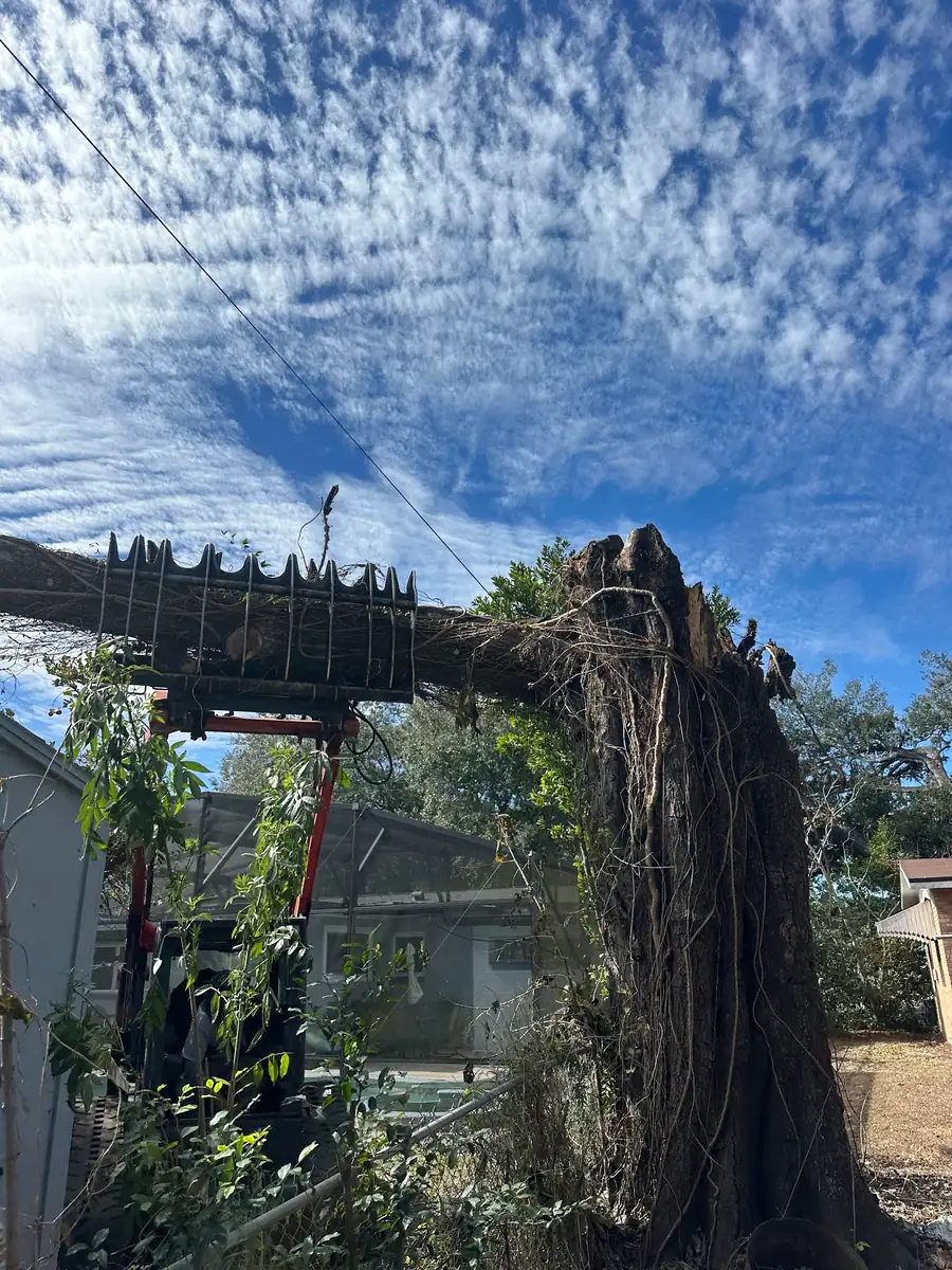 A grapple truck lifting an uprooted tree out of a residential yard after a storm
